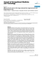 báo cáo hóa học: