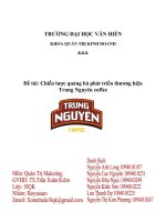 chiến lược quảng bá thương hiệu cafe trung nguyên