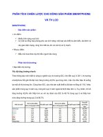 Phân tích chiến lược cho dòng sản phẩm smartphone và TV LCD