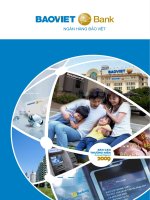 báo cáo thường niên 2009 ngân hàng bảo việt