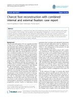 Capobianco et al. Journal of Orthopaedic Surgery and Research 2010, 5:7 potx