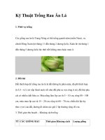 Kỹ Thuật Trồng Rau Ăn Lá docx