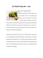Kỹ thuật trồng nho – (p1) doc