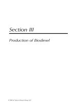 Handbook of plant based biofuels - Chapter 12 ppt