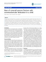 báo cáo hóa học: