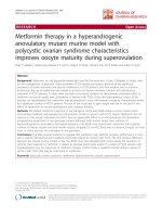 báo cáo hóa học: