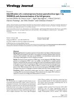 Báo cáo hóa học: 