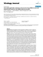 Báo cáo hóa học: 