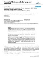 báo cáo hóa học: