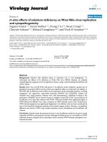 Báo cáo hóa học: 