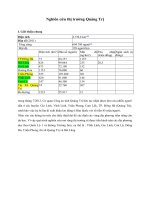 nghiên cứu thị trường quảng trị