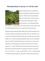 Biện pháp phòng trừ rệp sáp và ve sầu hại cà phê potx