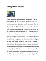 Sâu bệnh trên cây nho pdf