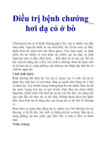 Điều trị bệnh chướng hơi dạ cỏ ở bò pdf