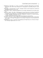 Controlling Strategy Management, Accounting, and Performance Measurement_2 pdf