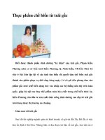 Thực phẩm chế biến từ trái gấc potx