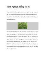 Kinh Nghiệm Trồng Sơ Ri pdf