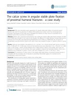 báo cáo hóa học: