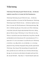 Trầm hương pdf