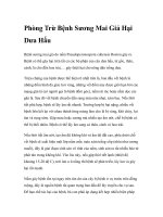 Phòng Trừ Bệnh Sương Mai Giả Hại Dưa Hấu pot