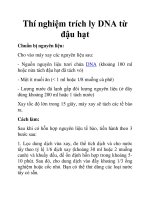 Thí nghiệm trích ly DNA từ đậu hạt ppt