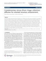 Báo cáo hóa học: 