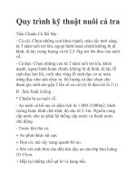 Quy trình kỹ thuật nuôi cá tra doc