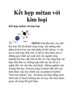 Kết hợp mêtan với kim loại potx