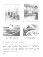 Kỹ thuật nuôi cá Nàng Hai (thát lát cườm) part 5 pptx