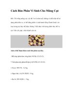 Cách Bón Phân Vi Sinh Cho Măng Cụt doc