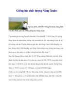 Giống lúa chất lượng Nàng Xuân doc