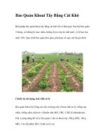 Bảo Quản Khoai Tây Bằng Cát Khô pot