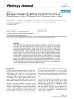 Báo cáo hóa học: 