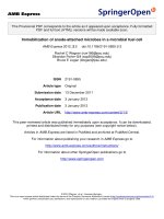 Báo cáo toán học: 