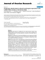 báo cáo hóa học: