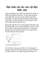 Đặc tính xúc tác của vật liệu MIL-101 pot