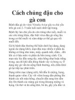 Cách chủng đậu cho gà con docx