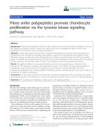 báo cáo hóa học: 