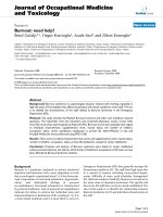 báo cáo hóa học: 