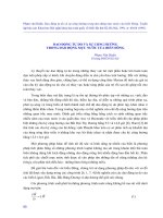 Báo cáo nghiên cứu khoa học 