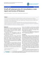 báo cáo hóa học: