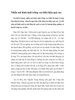 Nhiều mô hình nuôi trồng ven biển hiệu quả cao pot