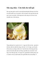 Sữa ong chúa - Cứu tinh cho tuổi già docx