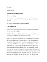 Nghiên cứu khoa học 