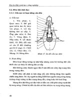 Thiết bị khí sinh học KT31 part 5 doc
