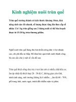 Kinh nghiệm nuôi trùn quế docx