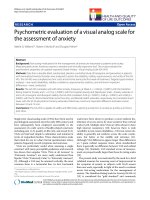 báo cáo hóa học: