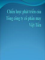 Phân tích chiến lược phát triển của tổng côg ty may việt tiến