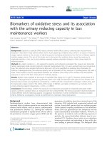 báo cáo hóa học: 