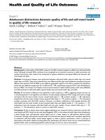 báo cáo hóa học: